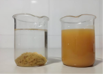 Anionic Polyacrylamide