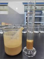 Anionic Polyacrylamide